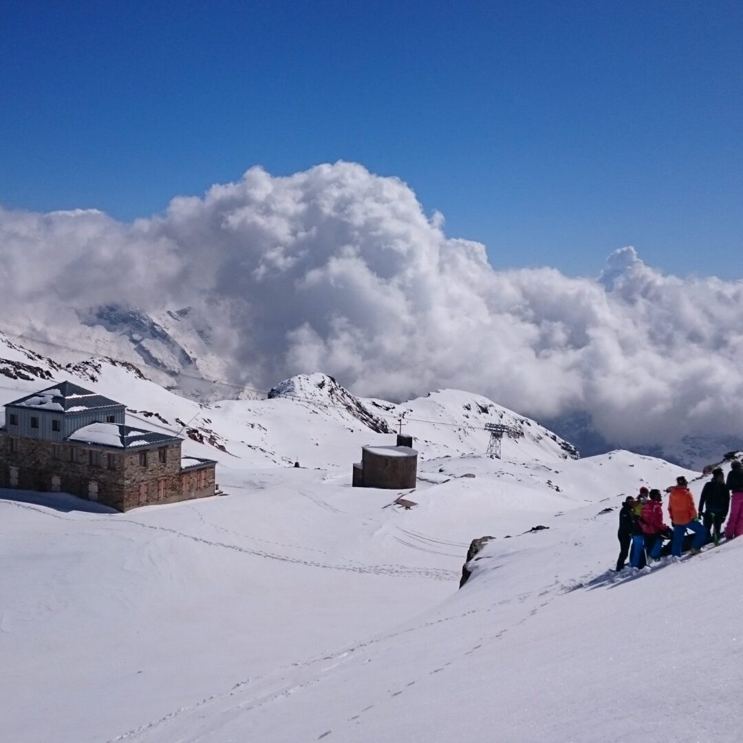 DIRETTORE DELLE PISTE DA SCI (DISCESA, FONDO, SNOWBOARD)
