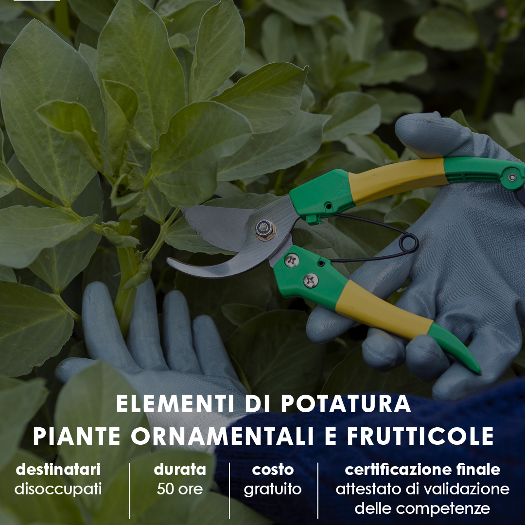 SALUZZO – ELEMENTI DI POTATURA Piante ornamentali e frutticole – GOL per disoccupati