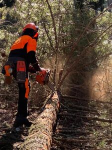 UF F2: UTILIZZO IN SICUREZZA DELLA MOTOSEGA NELLE OPERAZIONI DI ALLESTIMENTO (Corso a pagamento)