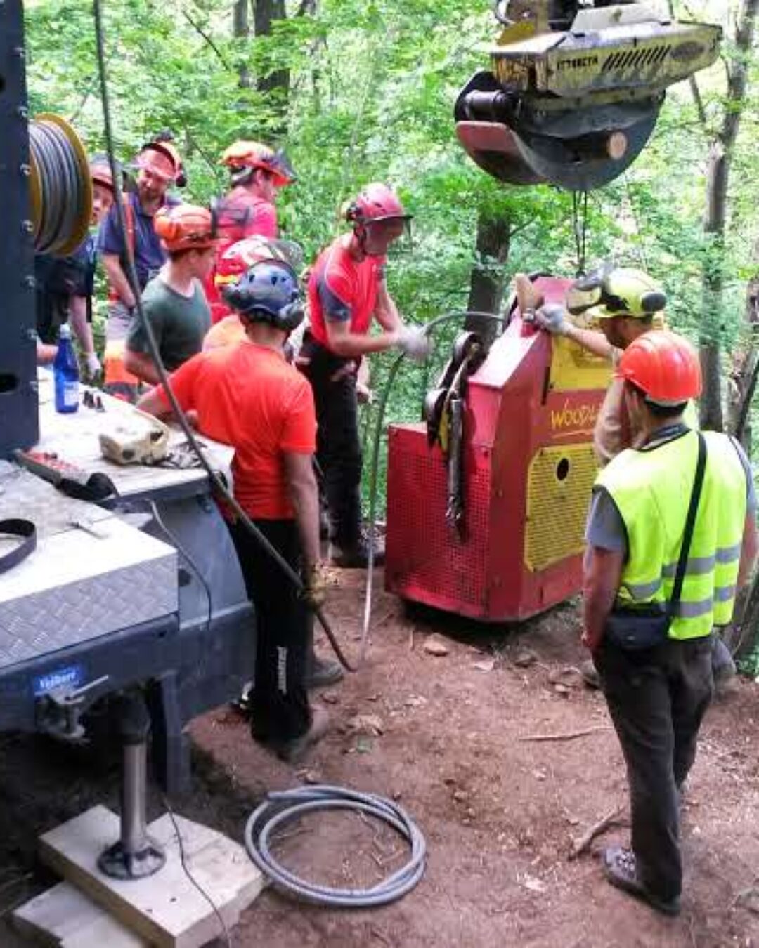 UF F6: OPERATORE FORESTALE Sviluppo Rurale del Piemonte 2023-2027