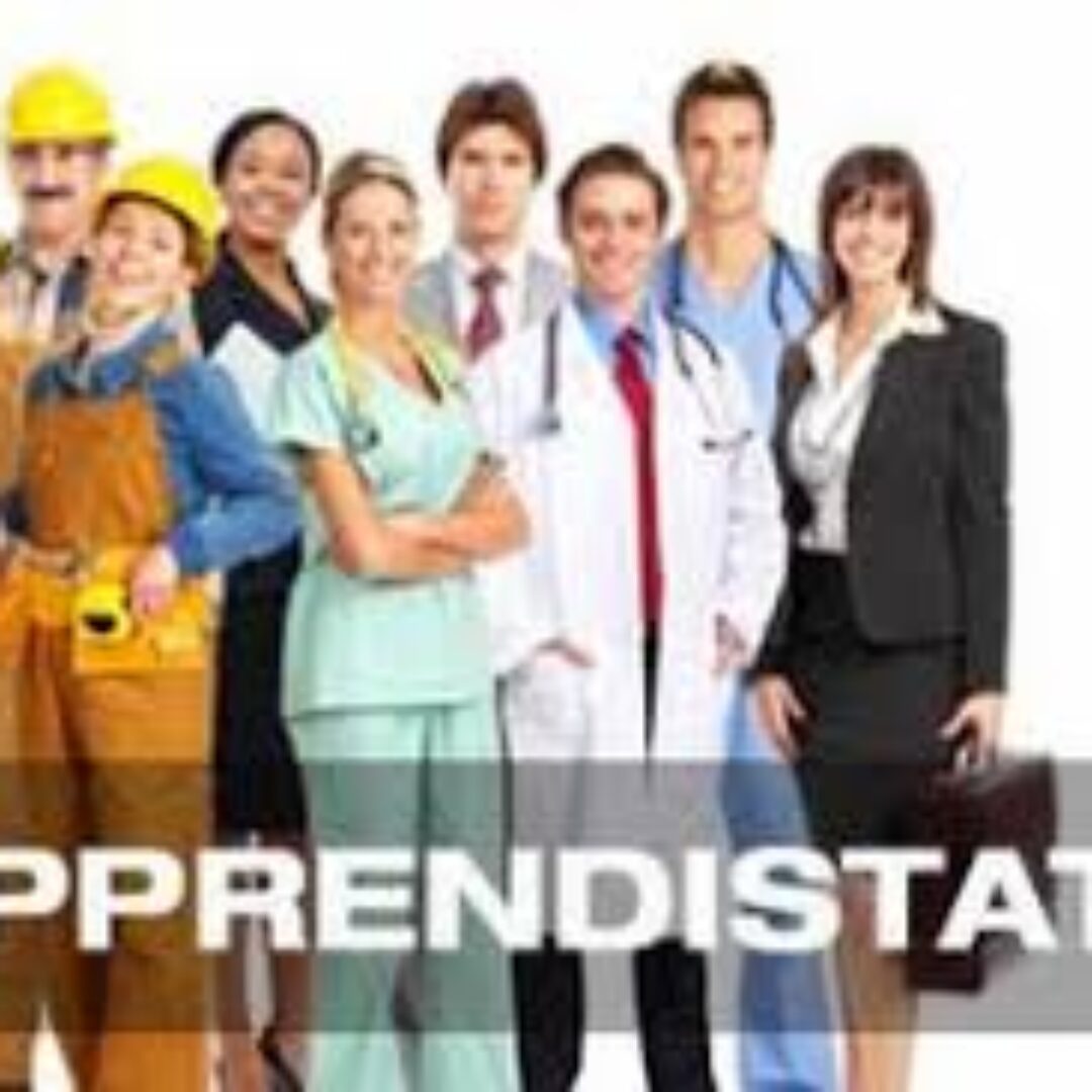 VILLADOSSOLA: APPRENDISTATO PROFESSIONALIZZANTE – Art. 44