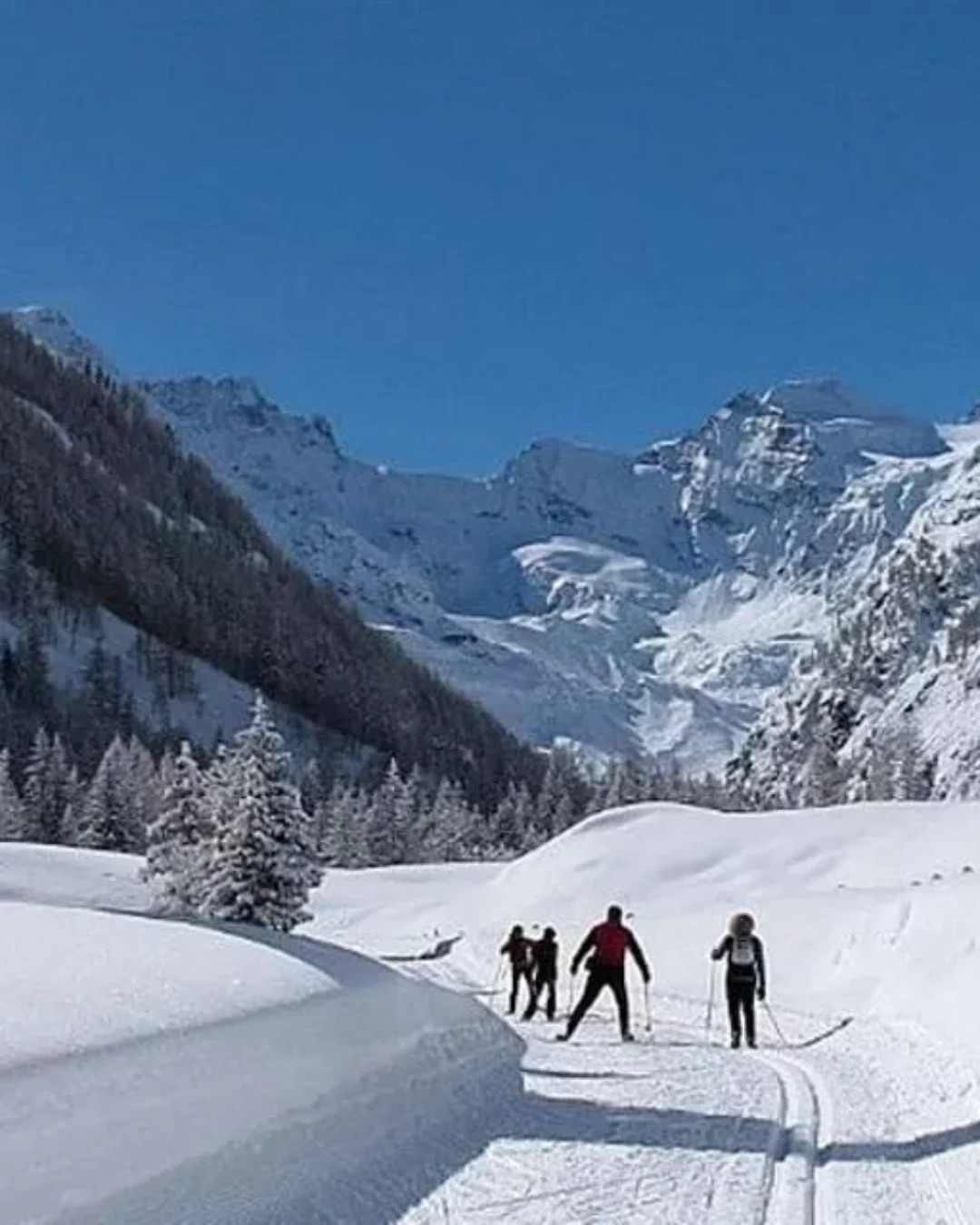 DIRETTORE DELLE PISTE DA SCI DI FONDO