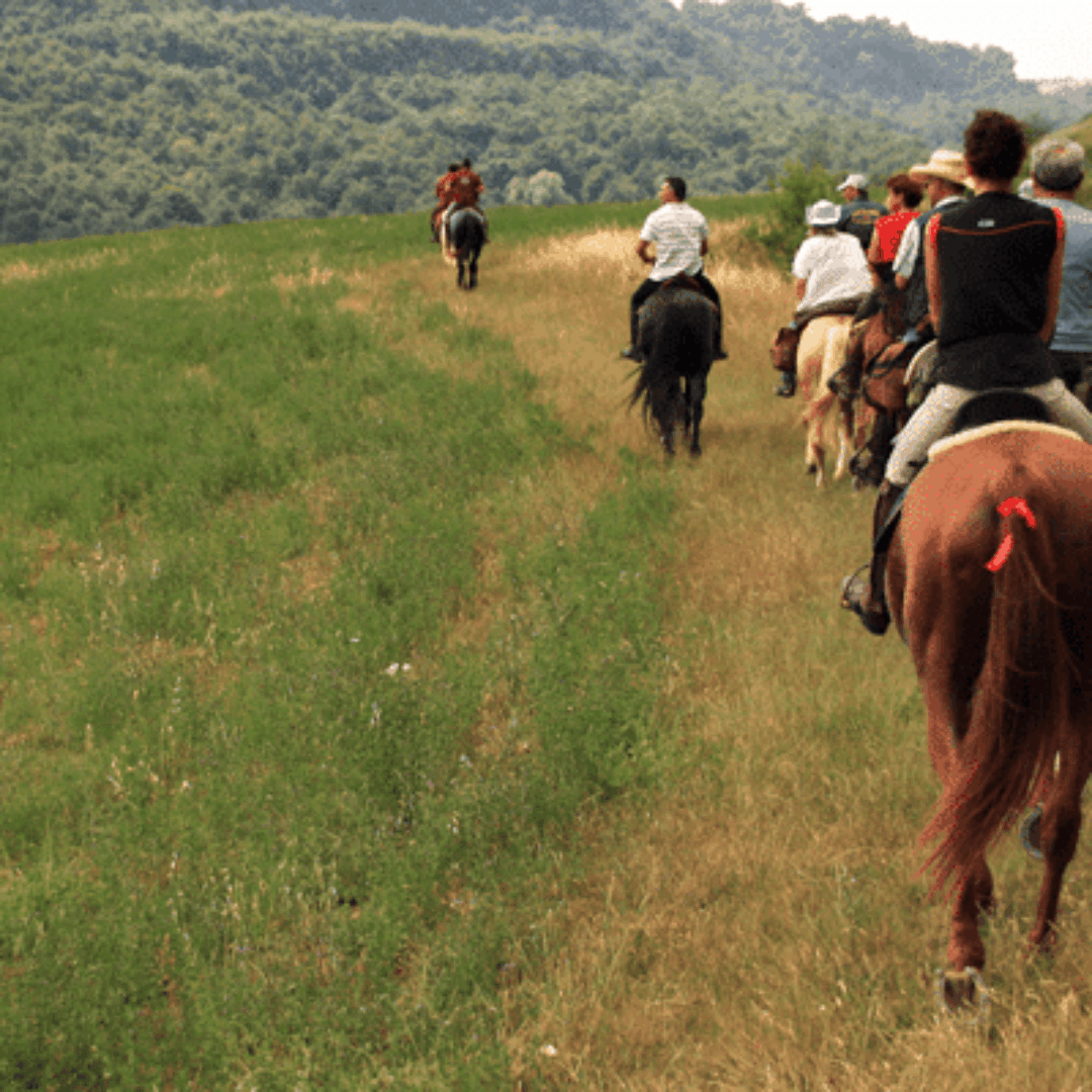 PEVERAGNO – AGGIORNAMENTO ACCOMPAGNATORE DI TURISMO EQUESTRE 2026