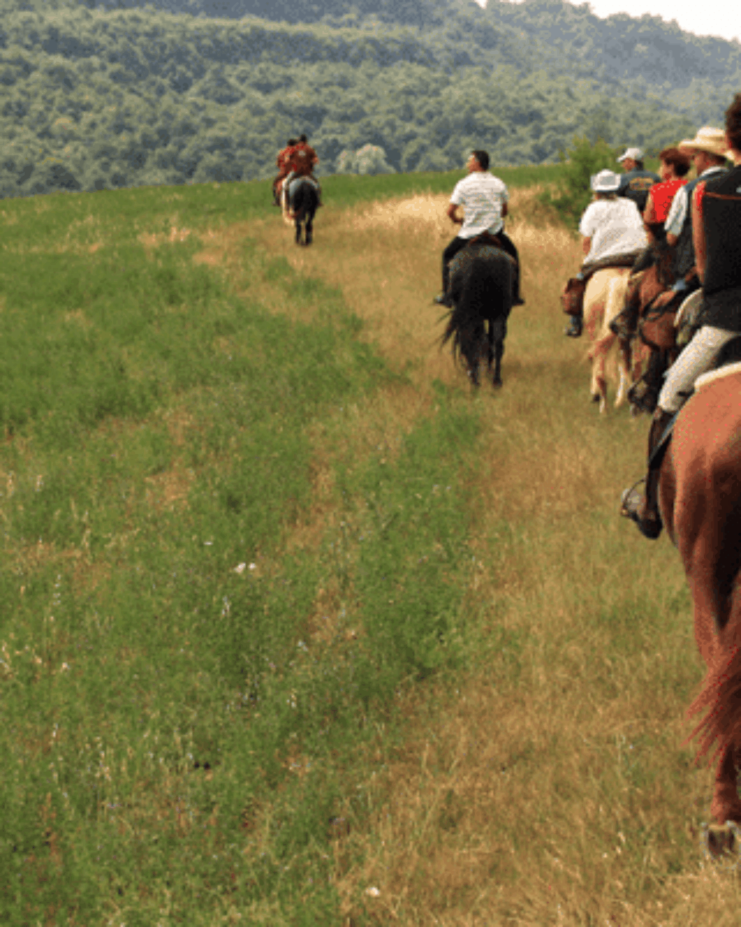 PEVERAGNO – AGGIORNAMENTO ACCOMPAGNATORE DI TURISMO EQUESTRE 2026
