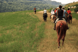 PEVERAGNO – AGGIORNAMENTO ACCOMPAGNATORE DI TURISMO EQUESTRE 2026