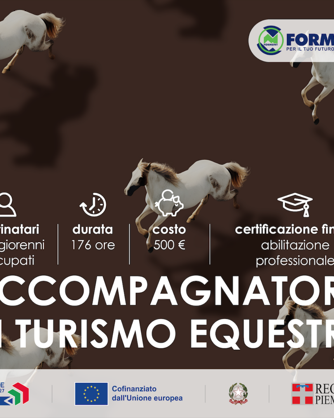 PEVERAGNO – ACCOMPAGNATORE DI TURISMO EQUESTRE – FICP per occupati