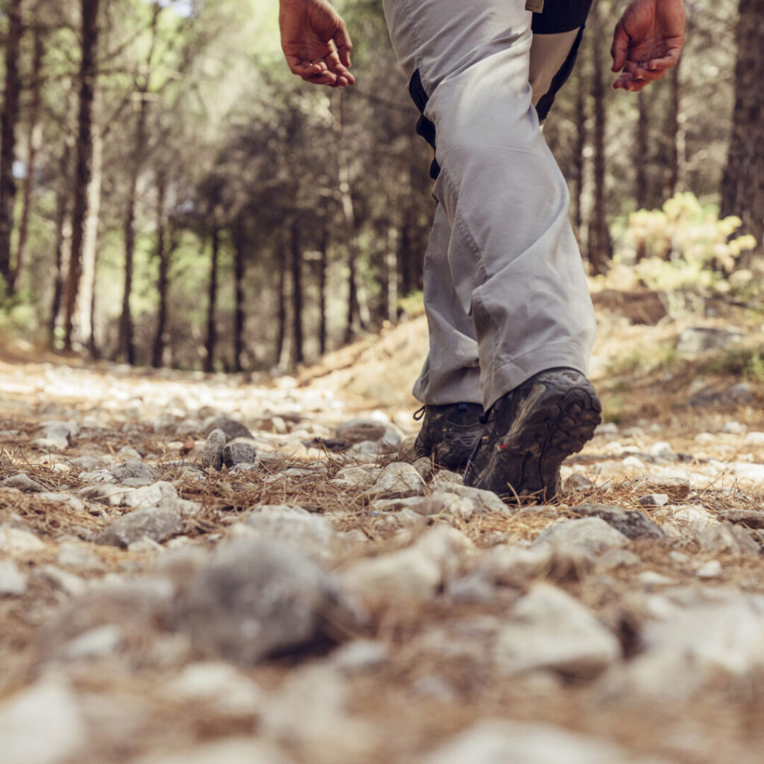 PEVERAGNO – AGGIORNAMENTO ACCOMPAGNATORE NATURALISTICO 2026/27
