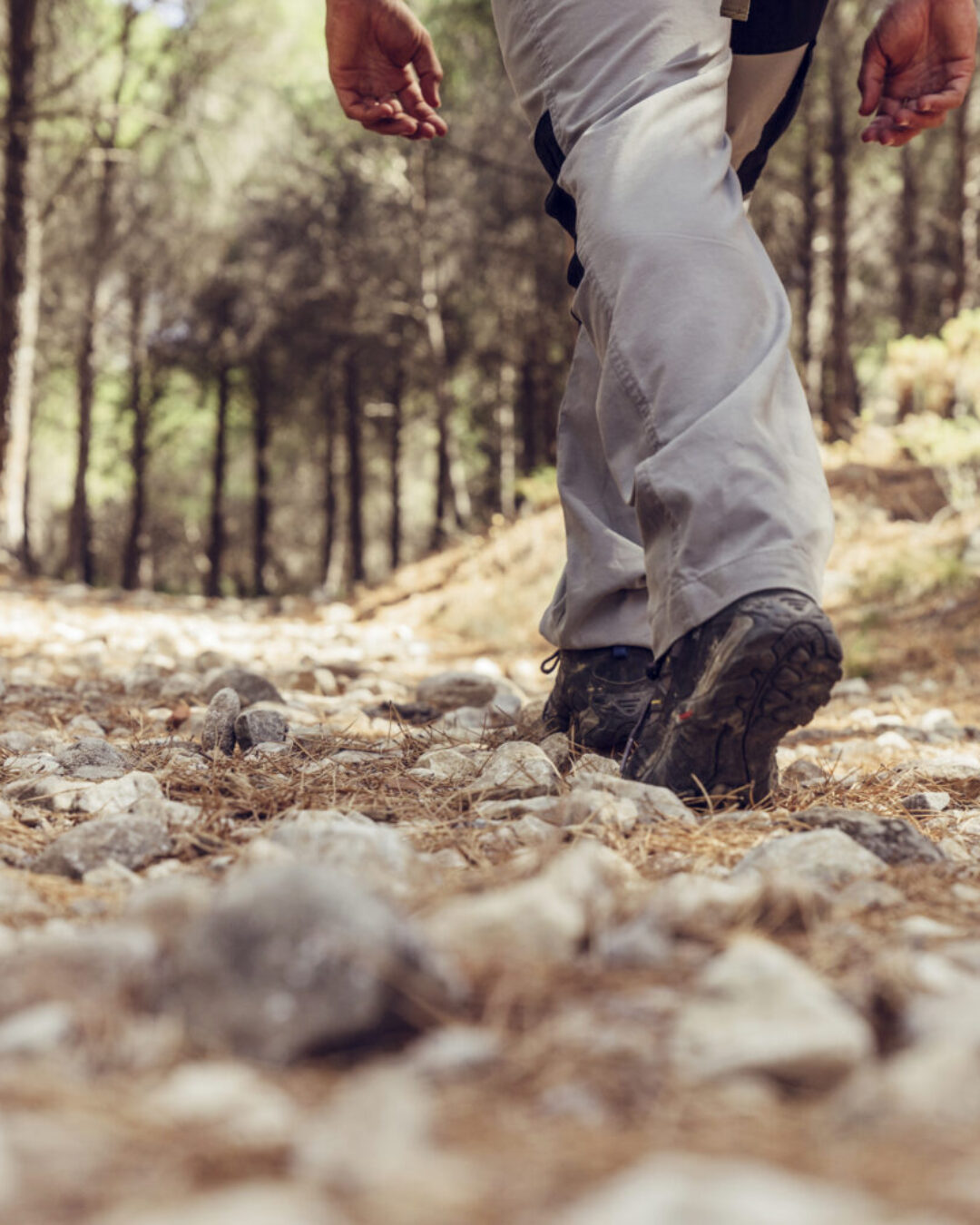 PEVERAGNO: AGGIORNAMENTO ACCOMPAGNATORE NATURALISTICO 2026/27