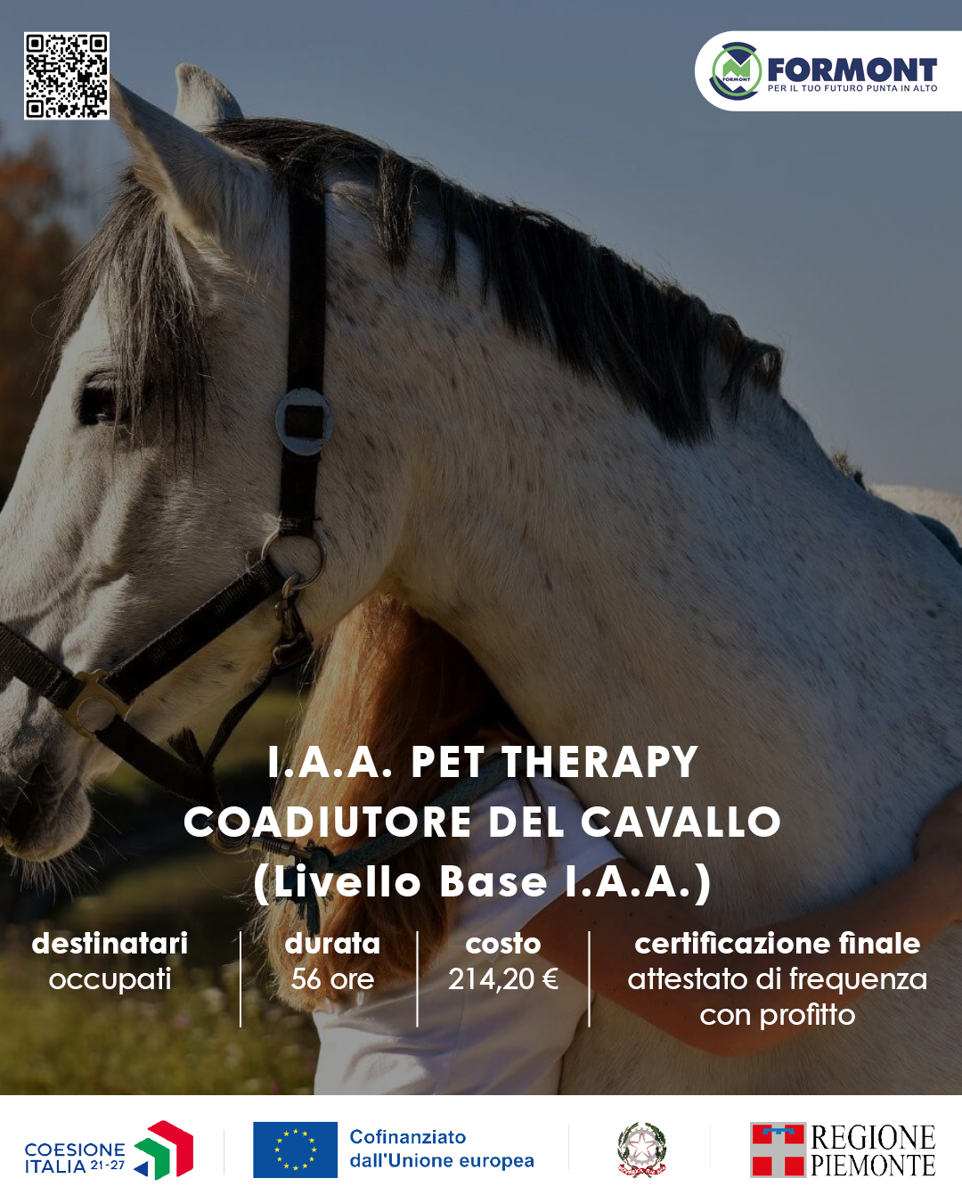 I.A.A. PET THERAPY: COADIUTORE DEL CAVALLO (Livello Base I.A.A.)