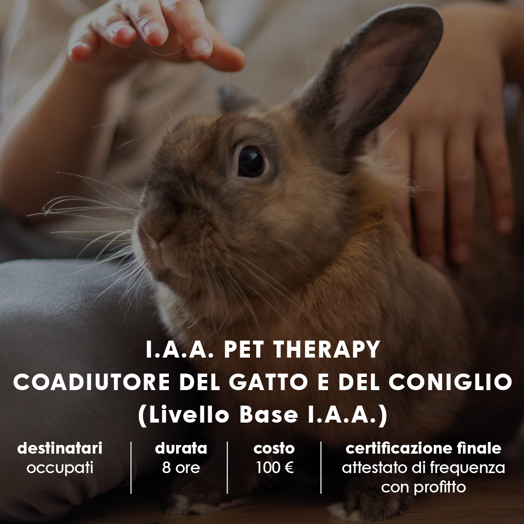 PEVERAGNO – I.A.A. PET THERAPY: COADIUTORE DEL GATTO E DEL CONIGLIO (Livello Base I.A.A.)
