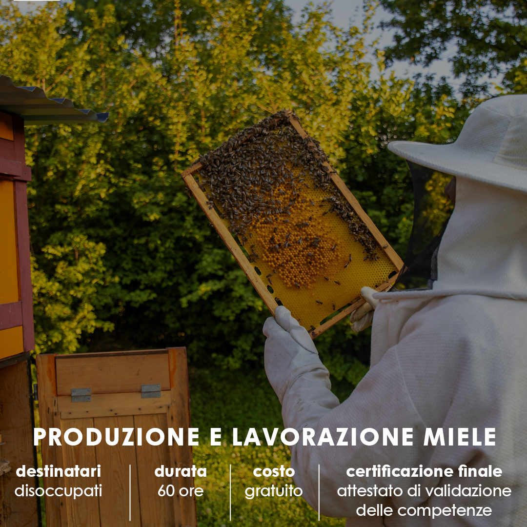 SALUZZO – PRODUZIONE E LAVORAZIONE MIELE – GOL per disoccupati