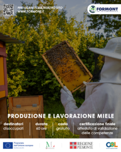 SALUZZO – PRODUZIONE E LAVORAZIONE MIELE – GOL per disoccupati